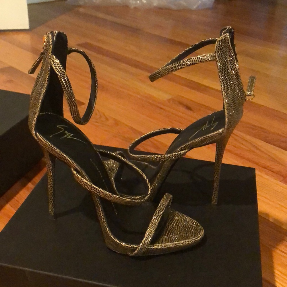 Giuseppe Zanotti